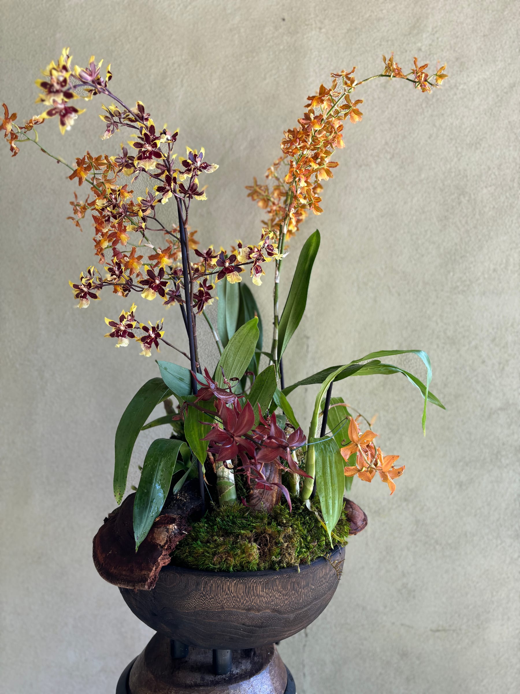 Sculptural orchid arrangement
