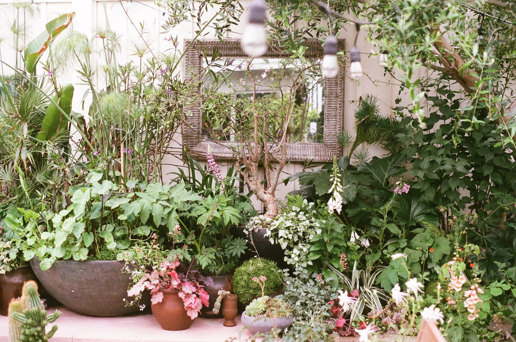 Courtyard container garden, studio work
