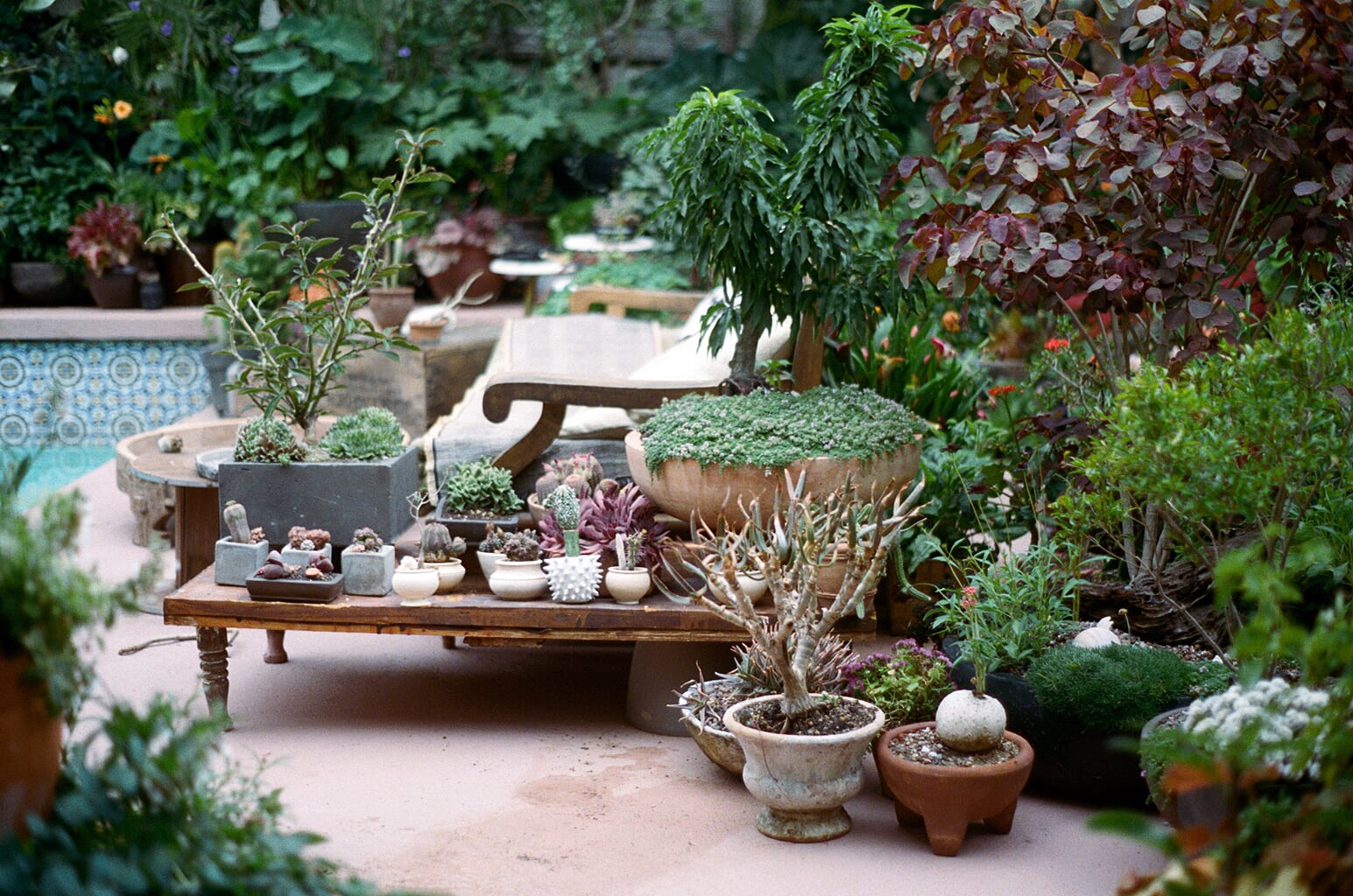 Terrace container garden seating