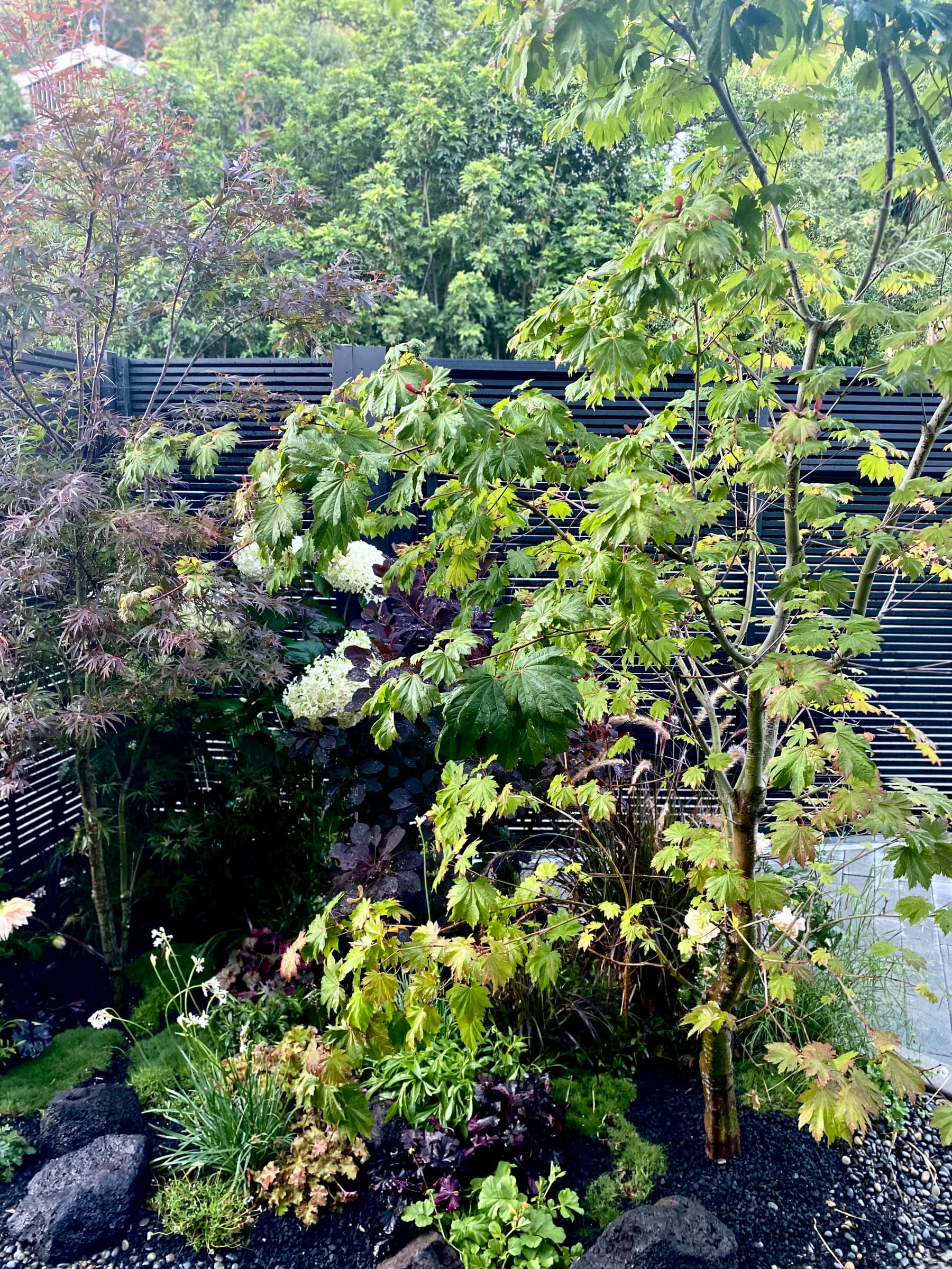 Layered shade garden
